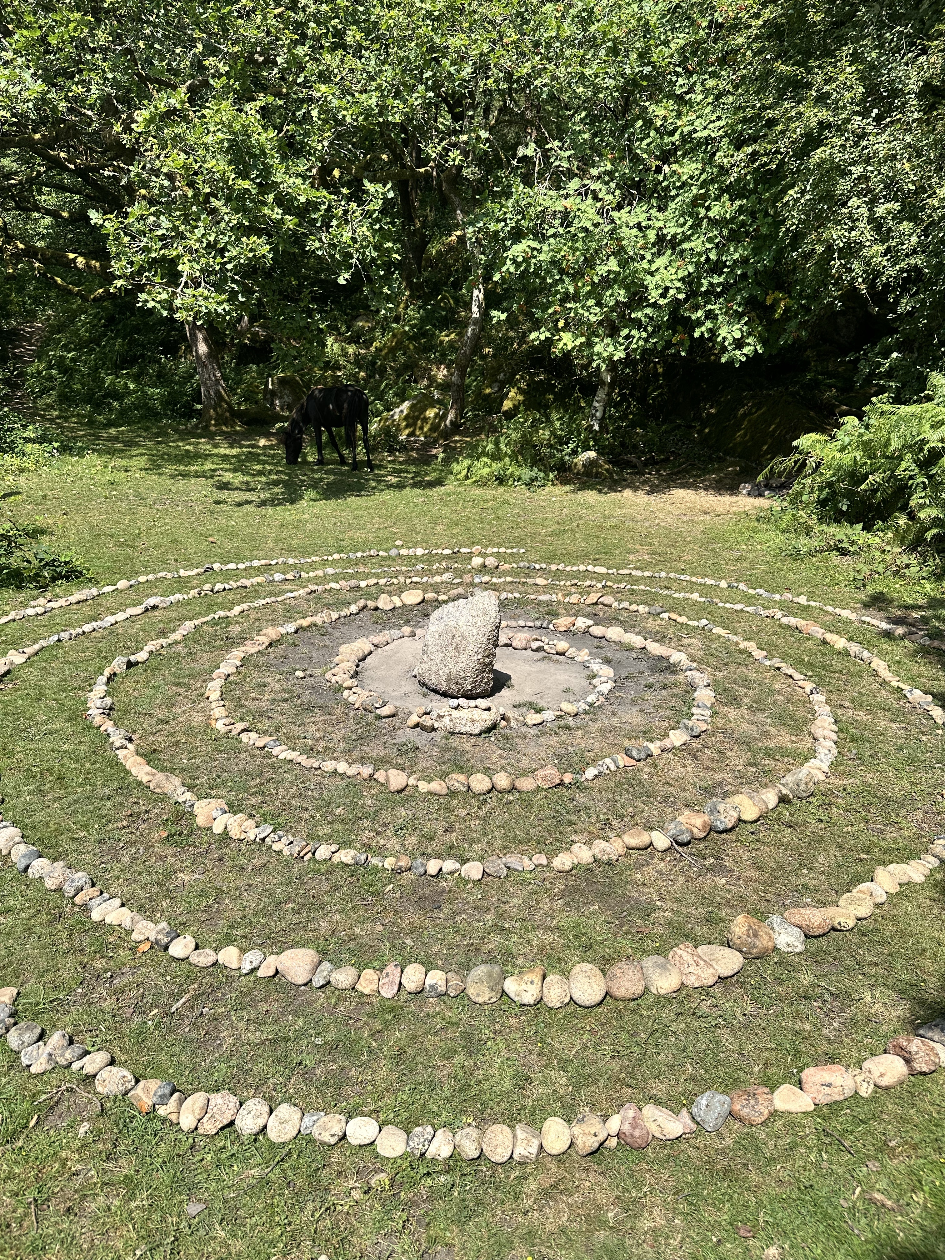 A stone spiral in an oak clearing where a horse grazes