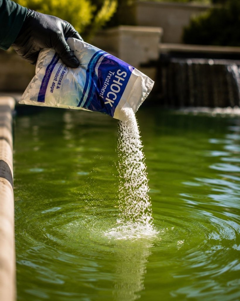 Algae Treatment