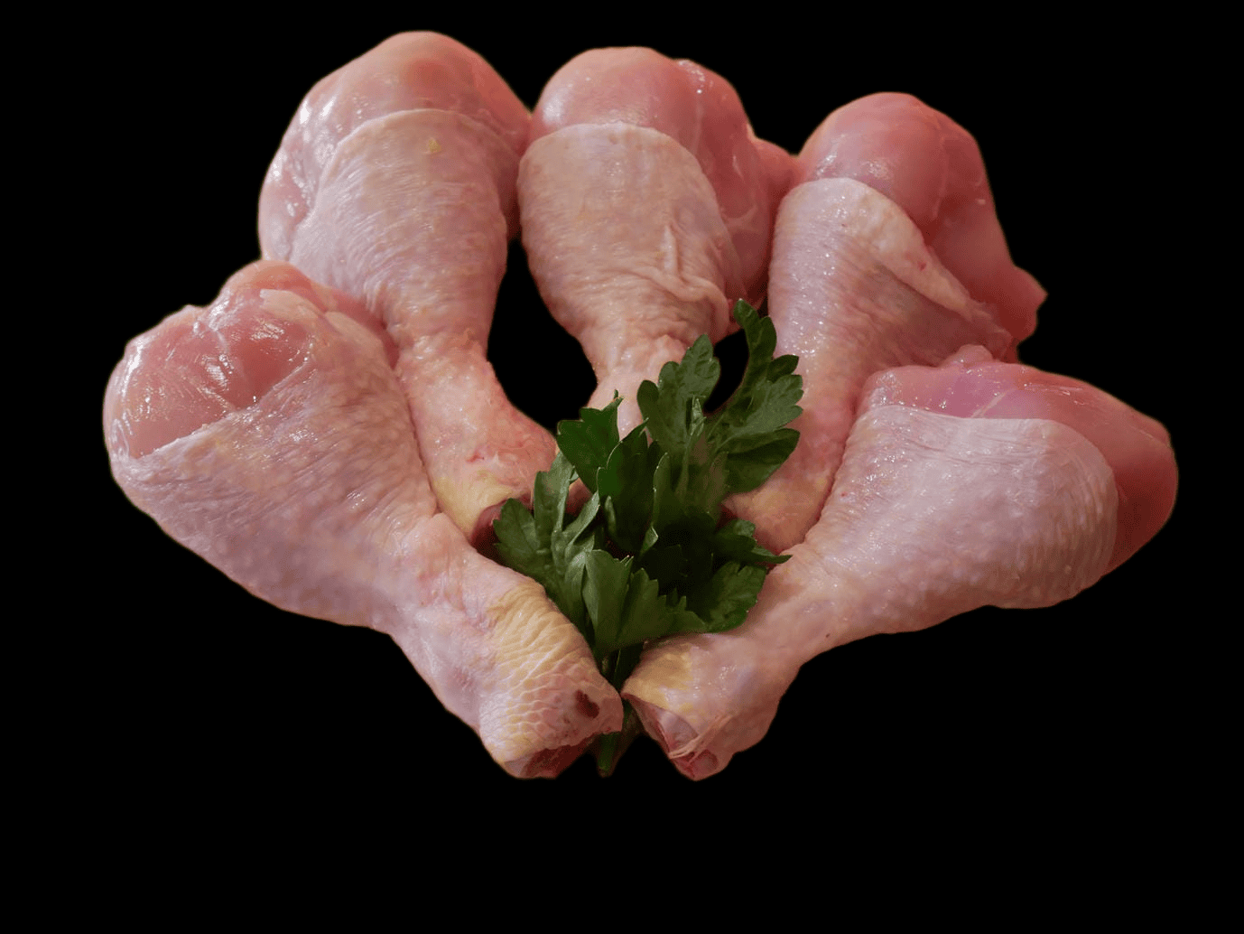Pilons de poulet