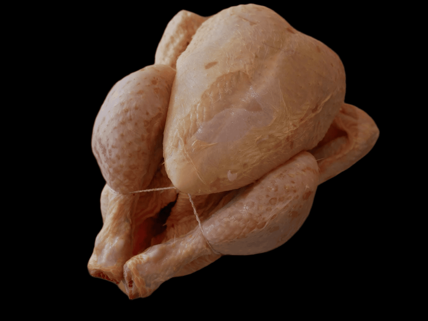 Poulet P.A.C