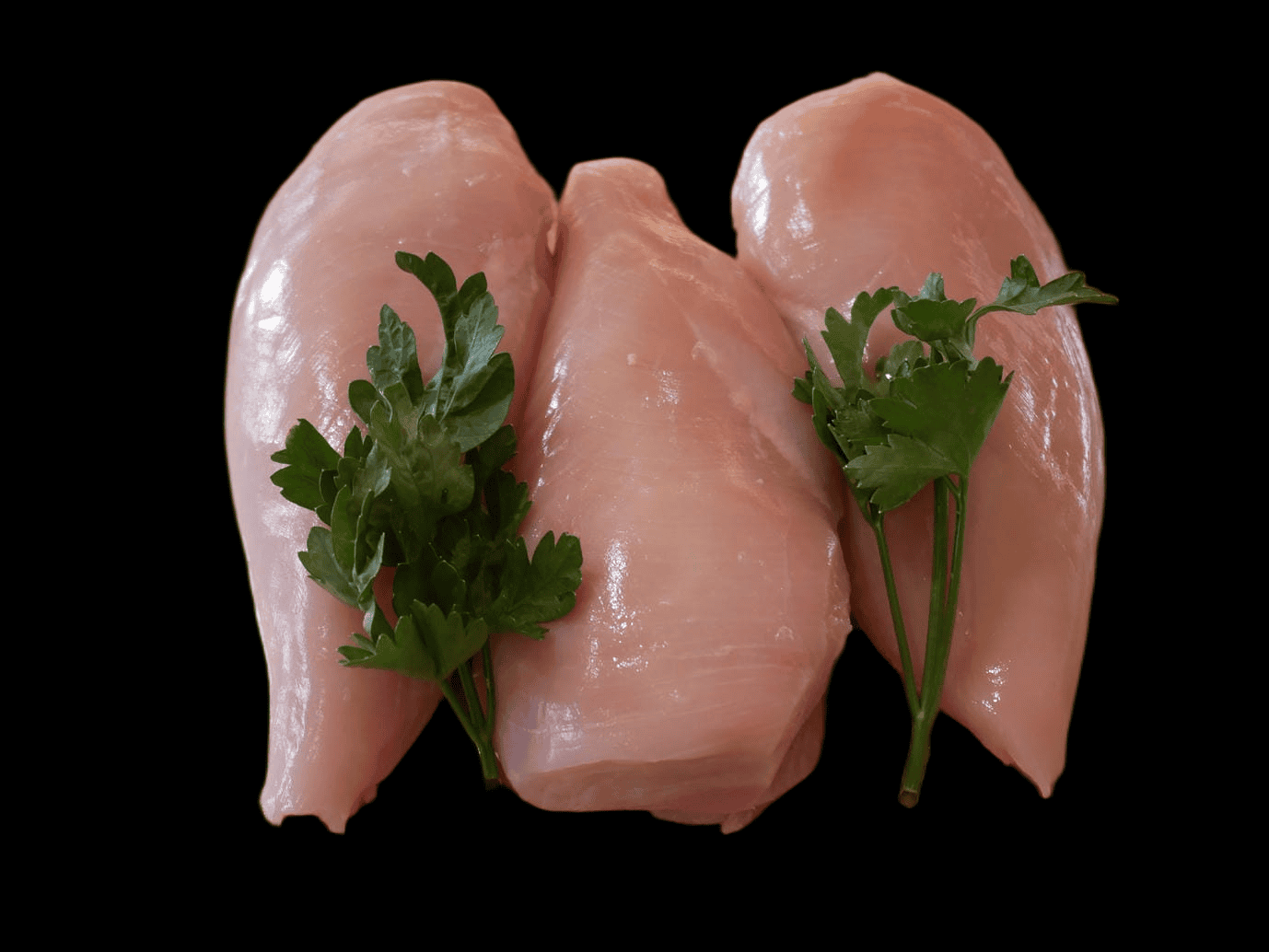 Blanc de poulet