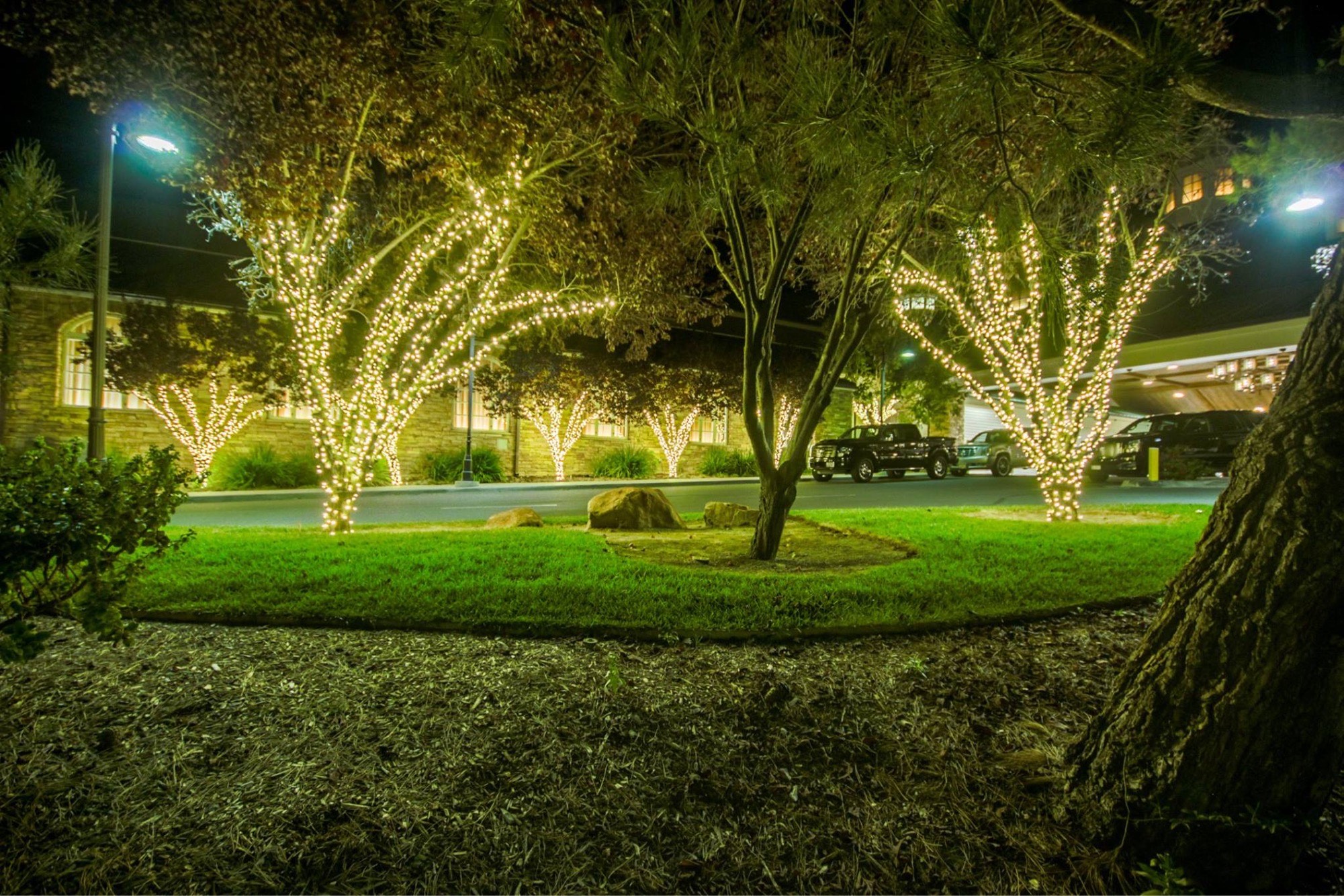 Tree Wrapping — Warm White