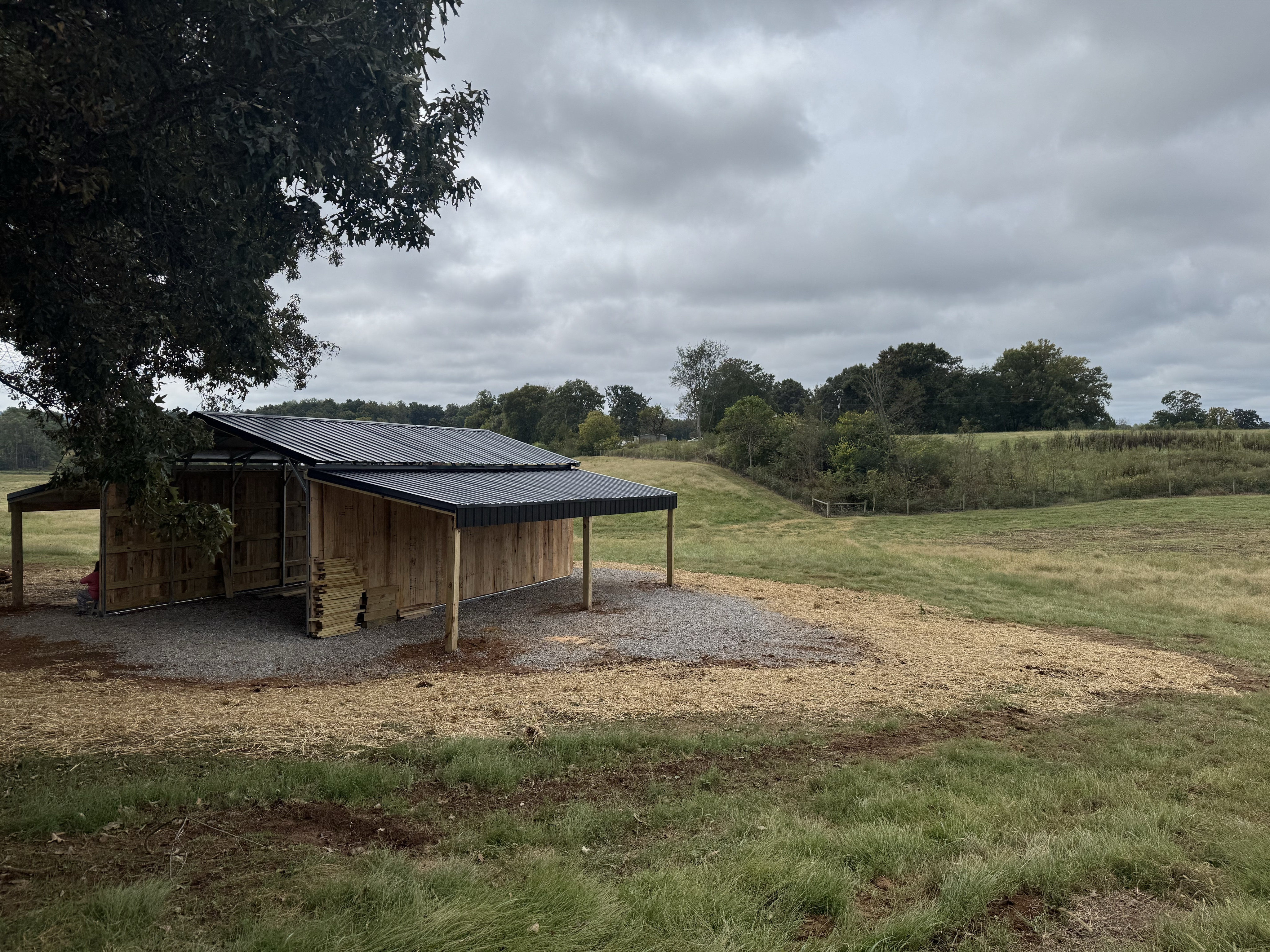 Standard Carport