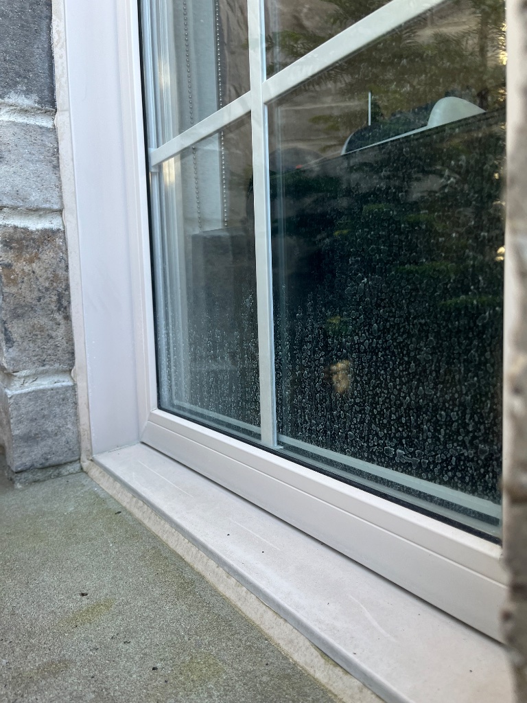 Window cleaning — before