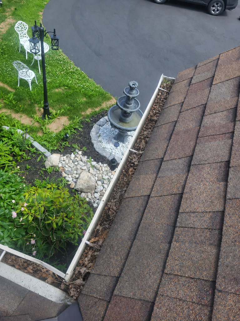 Gutter Cleaning