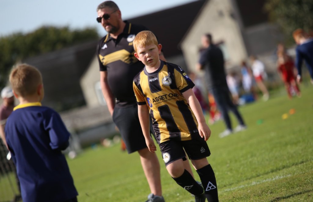 Middlefield Wasps