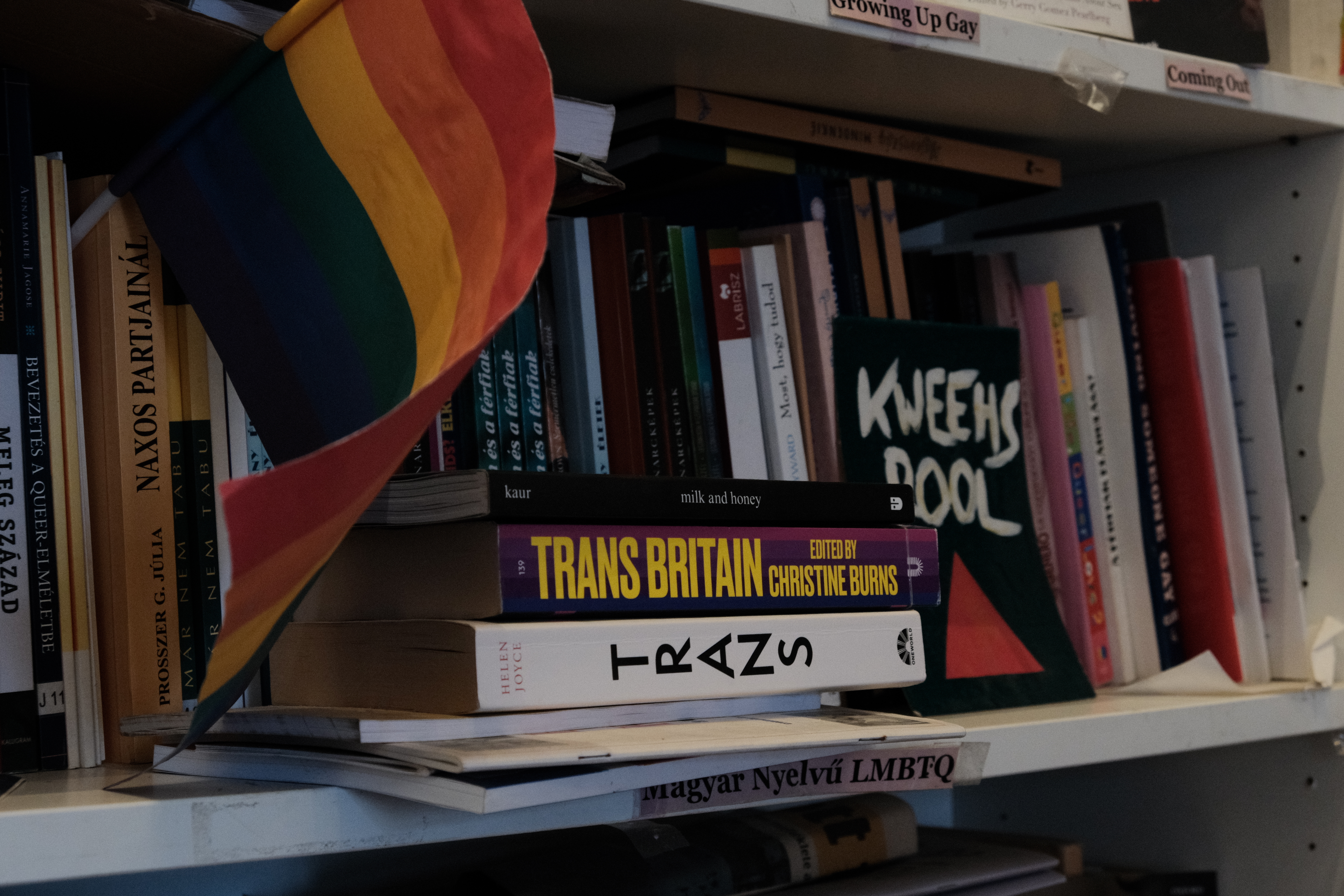 Books on the shelf
