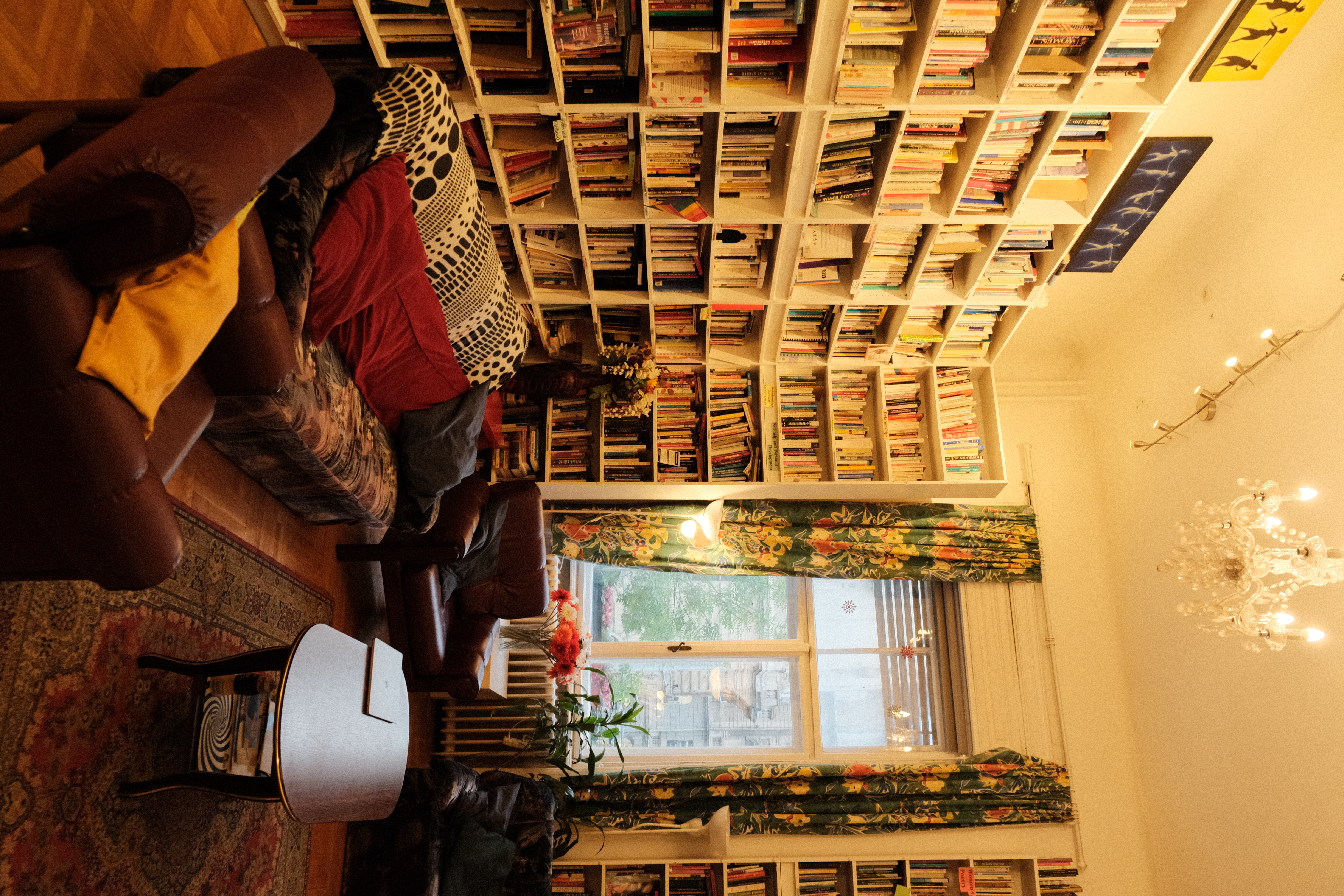 Library bookshelves