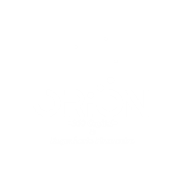 Orion360 Capital