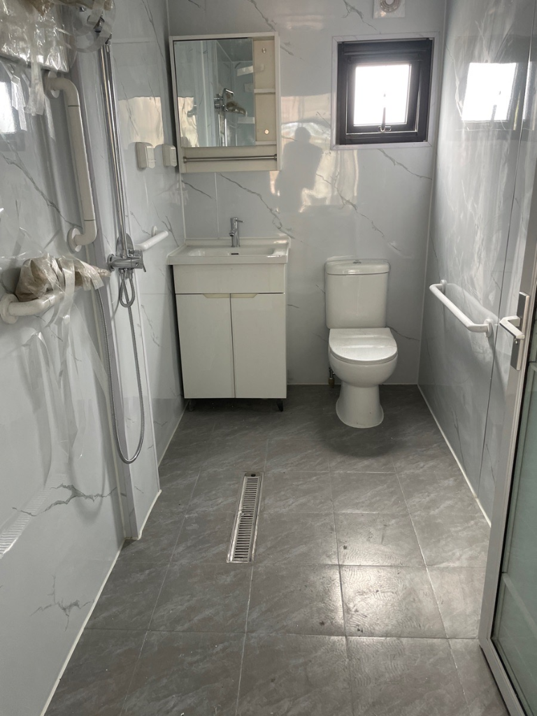 Accessible bathroom interior with grab rails and walk-in shower.