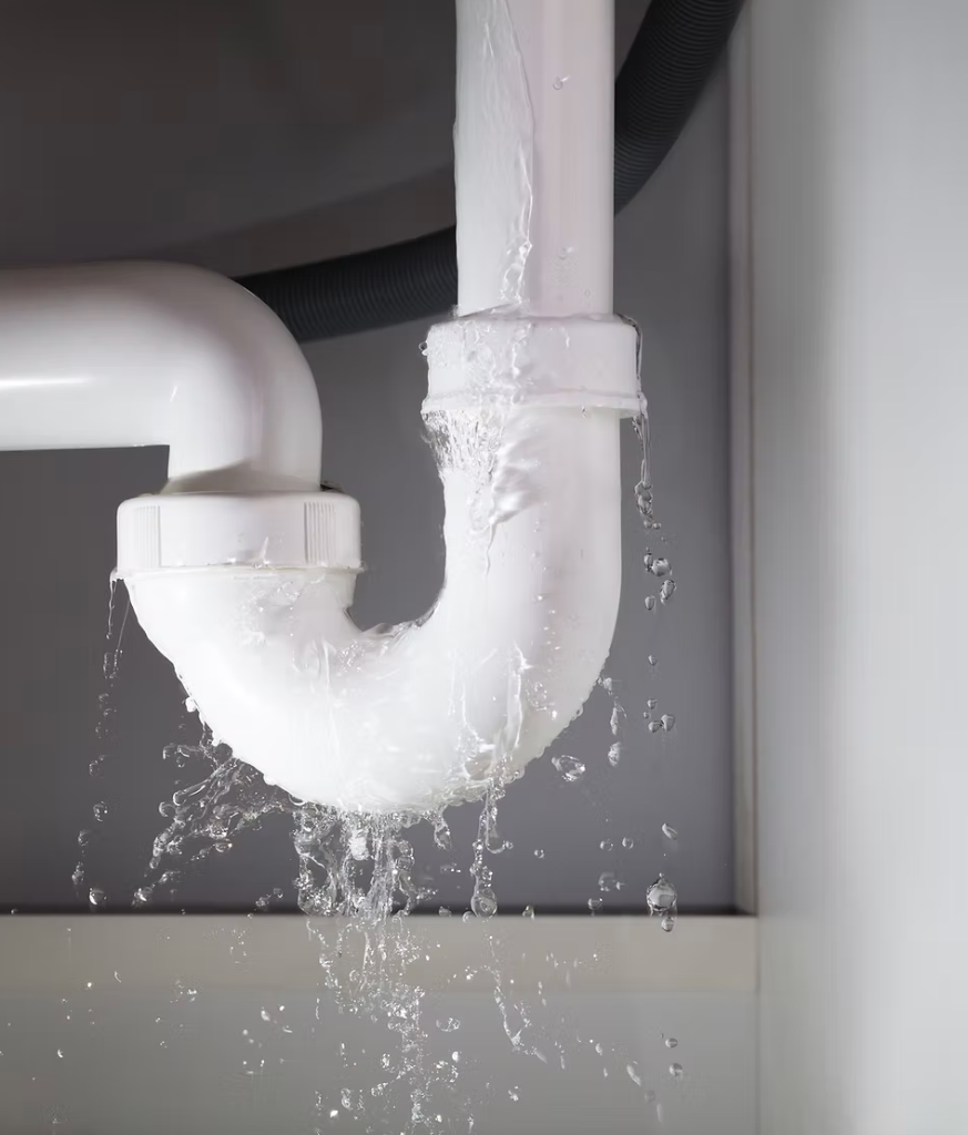 Leaking P-trap pipe repair — plumbing maintenance in Tauranga