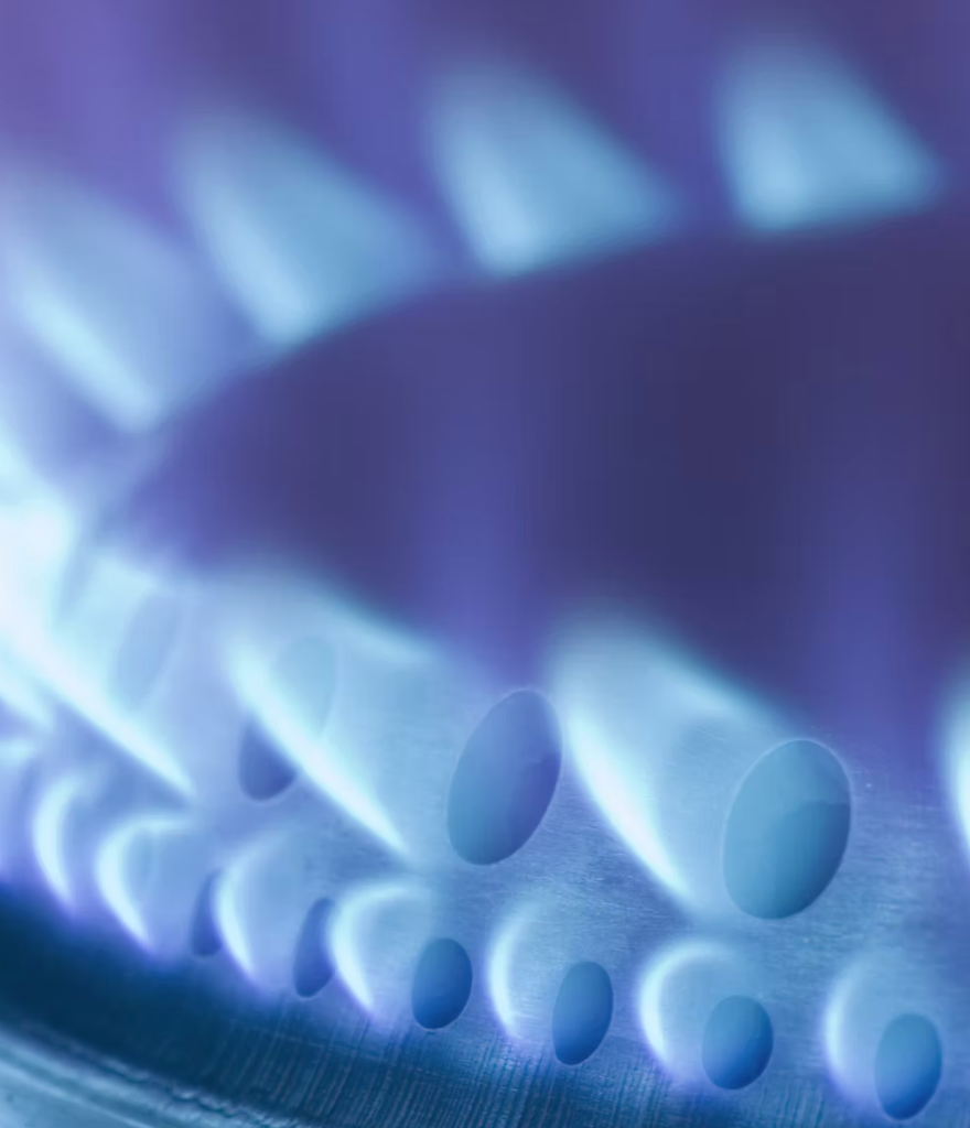 Gas hob burner — licensed gasfitting installation in Tauranga