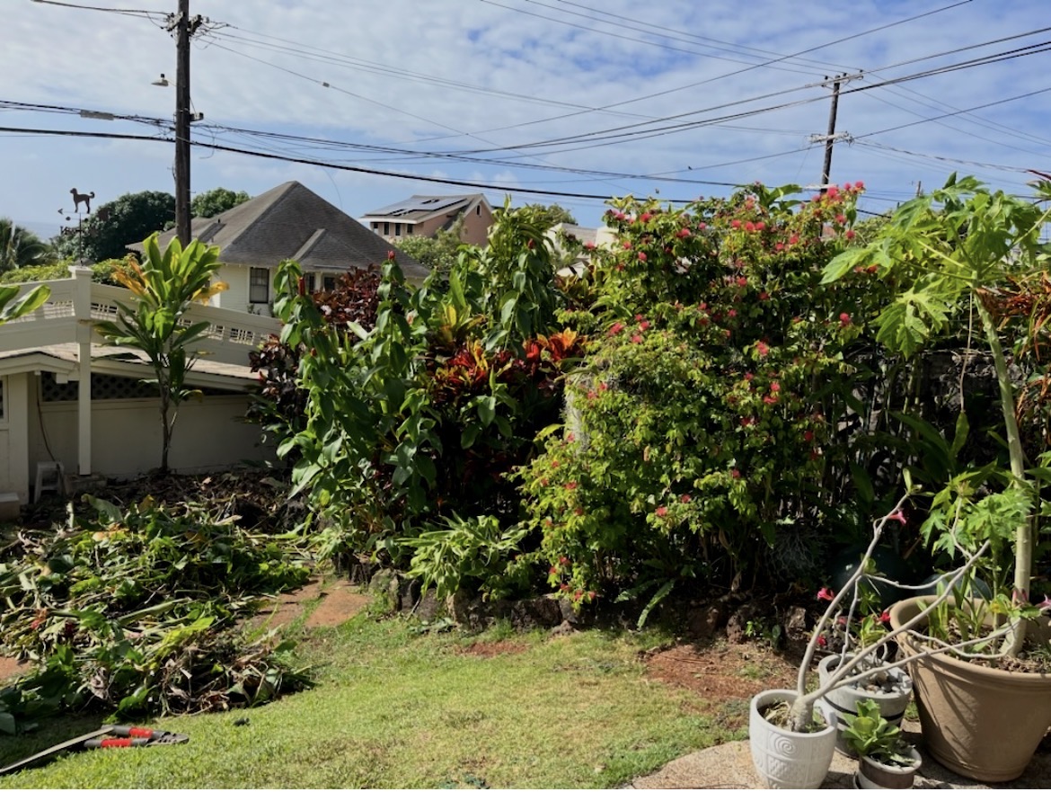 Hands-On Yard Restoration
