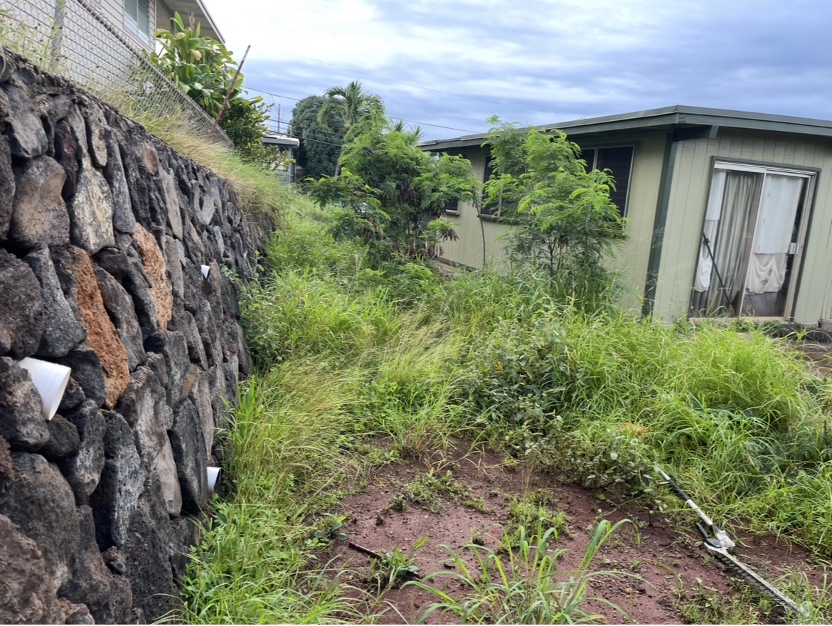 Backyard Restoration