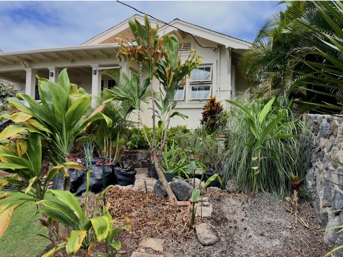 Full Yard Cleanup
