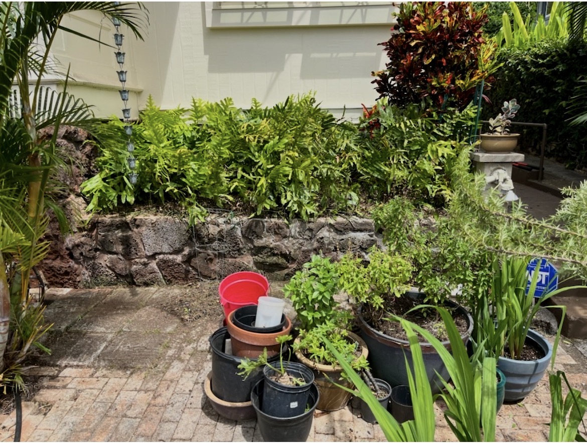 Patio Garden Cleanup