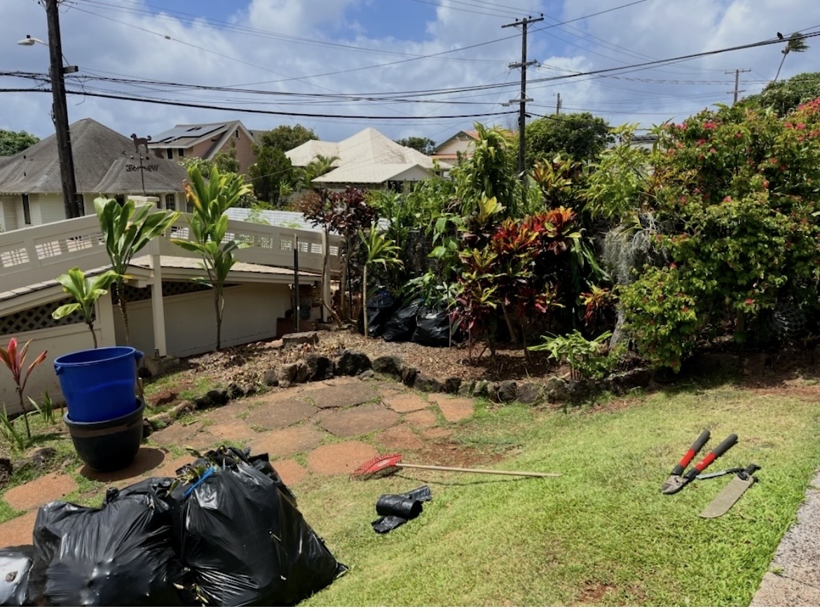 From Overgrown to a Beautiful Oasis