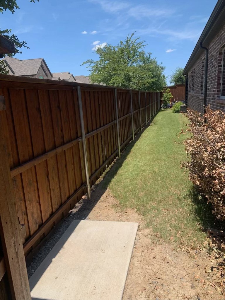 Fence staining project showing even color coverage
