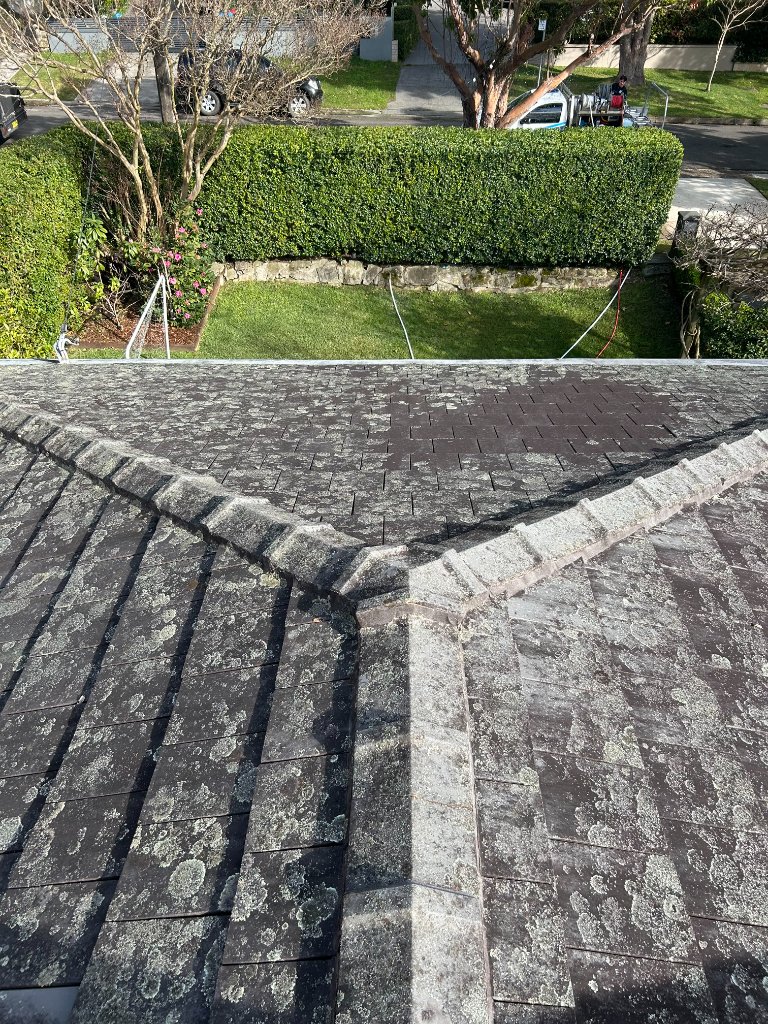 Before cleaning: Roof Wash — Balgowlah