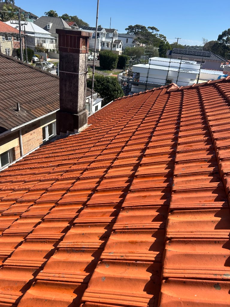After cleaning: Roof Wash — Freshwater