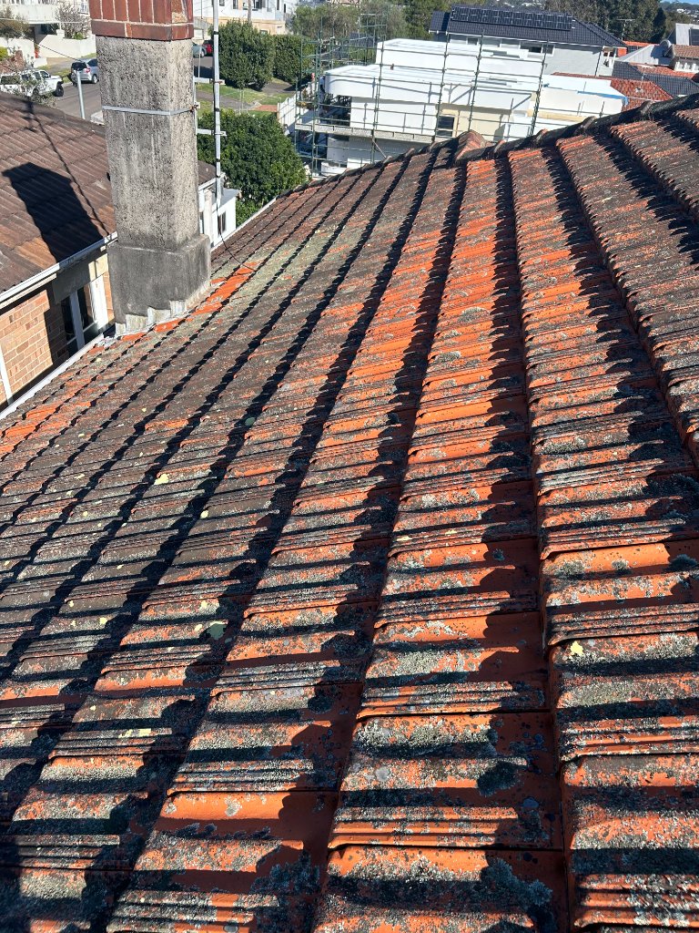 Before cleaning: Roof Wash — Freshwater