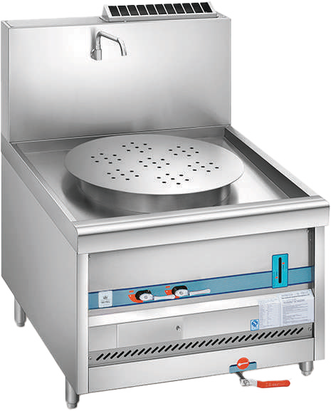 Gas Steamer