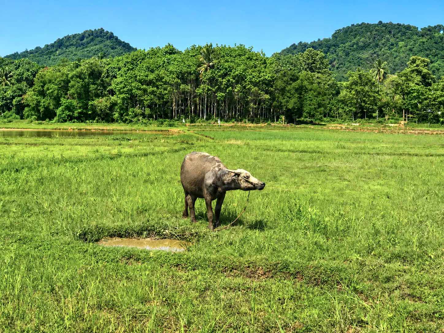 Ko Yao Island - 2 Day Trip 2