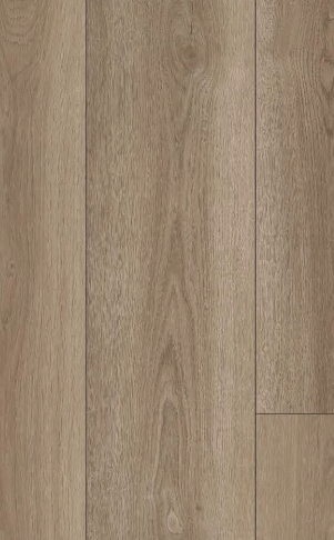 Mesa Oak