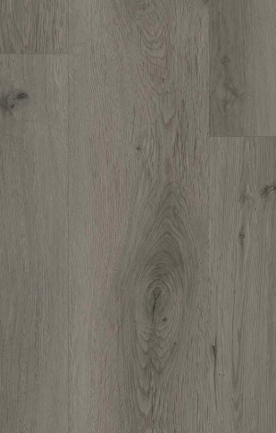 Sidney Oak