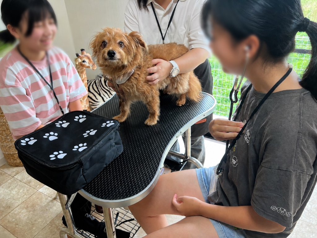参加者の方から嬉しいご感想をいただきました🐾