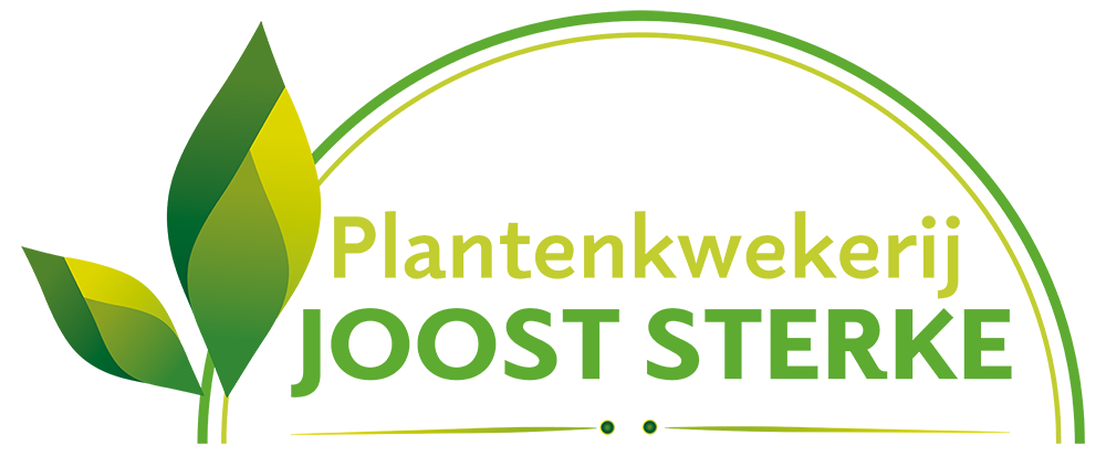 Plantenkwekerij Joost Sterke