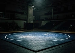 Wrestling