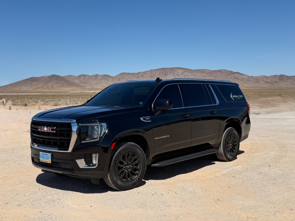 Viva Limo luxury fleet