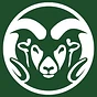CSU College of Business | Management Dept