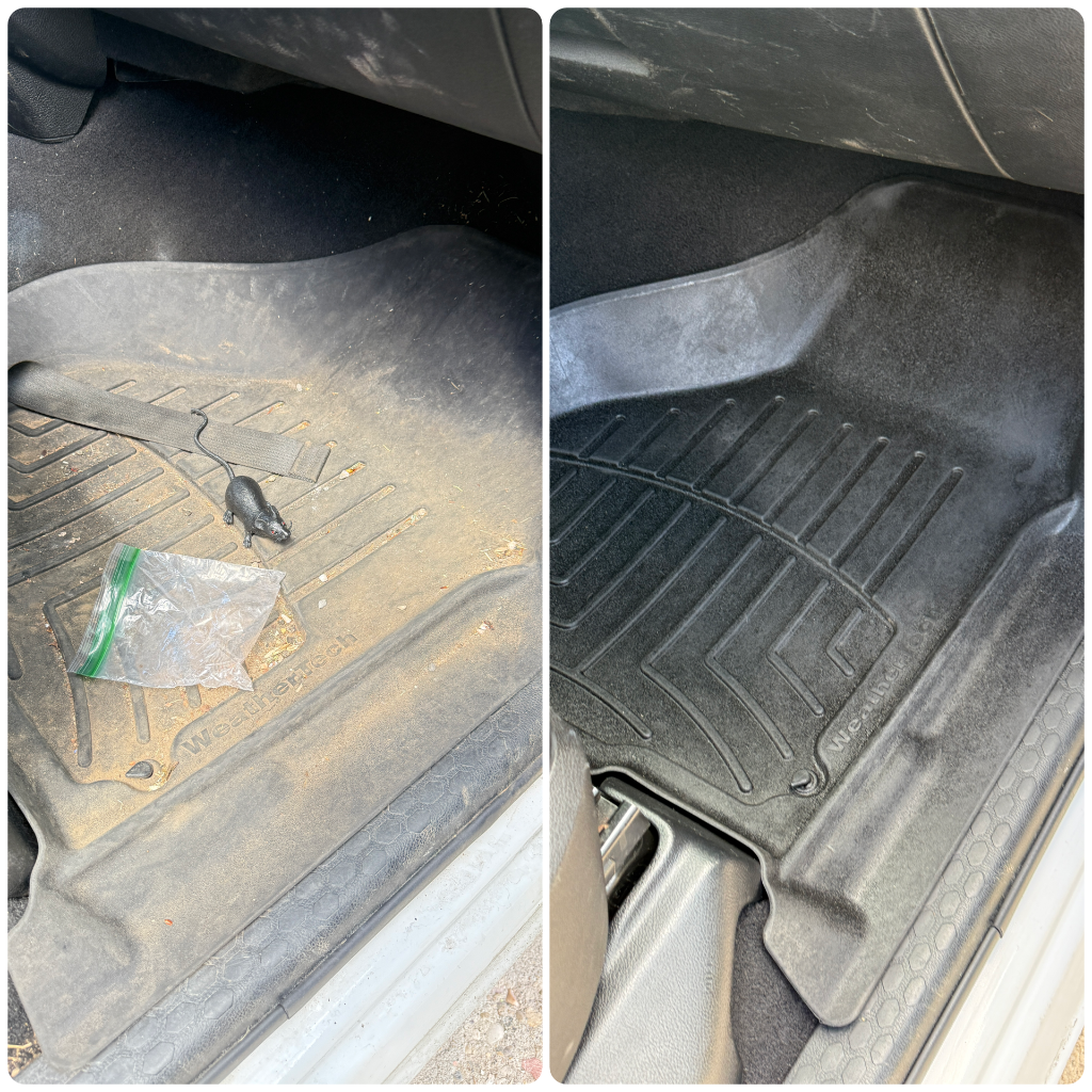 Before and after: WeatherTech floor mat deep cleaned