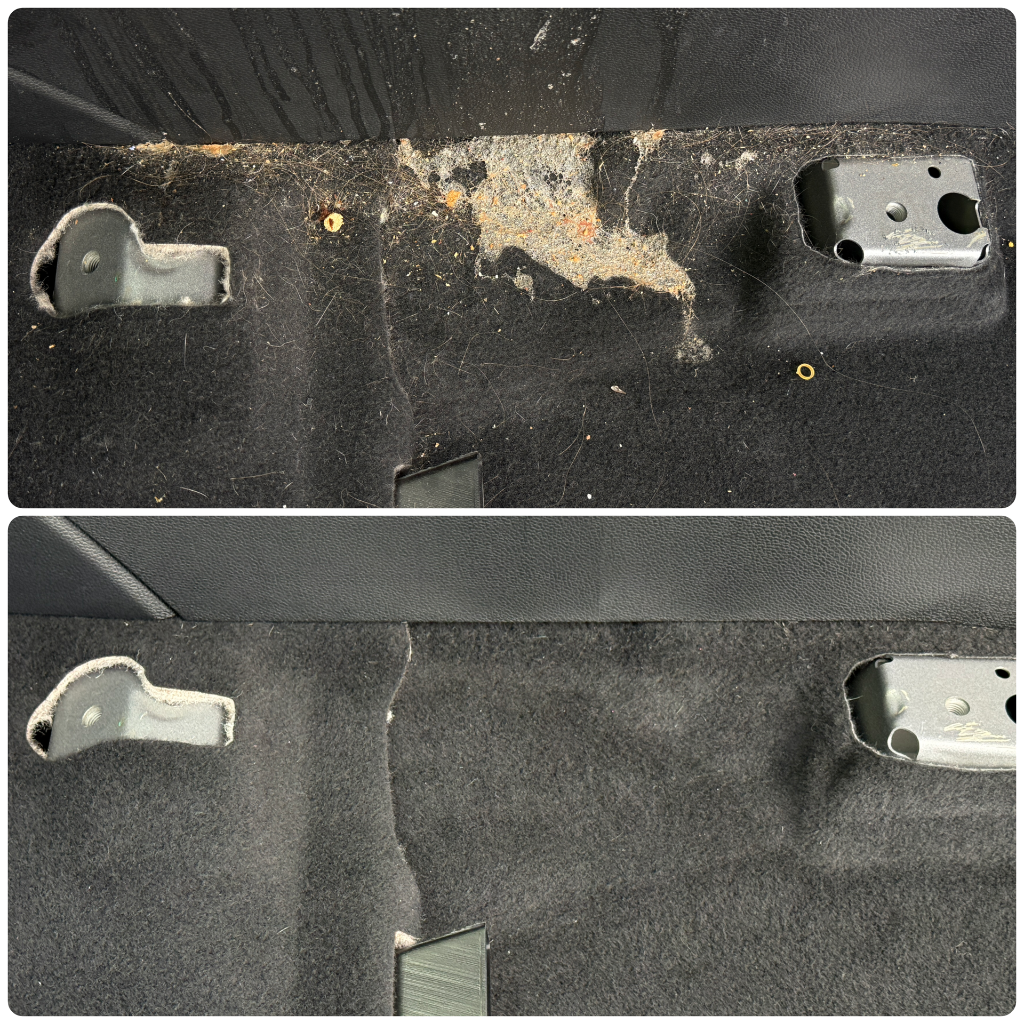 Before and after: carpet cleaned of pet hair and stains