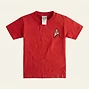 Star Trek Graphic T-Shirt