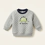 Quilted Dinosaur 'Mr. Awesome' Sweatshirt