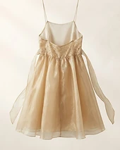 Embellished Organza Formal Dress