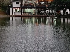 Wide view of the property across the lake at dusk