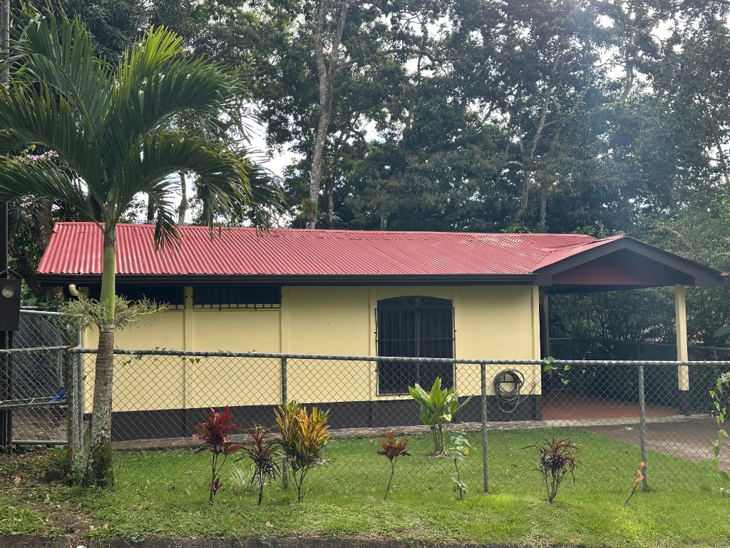 Charming yellow facade with red metal roof, nestled in the trees
