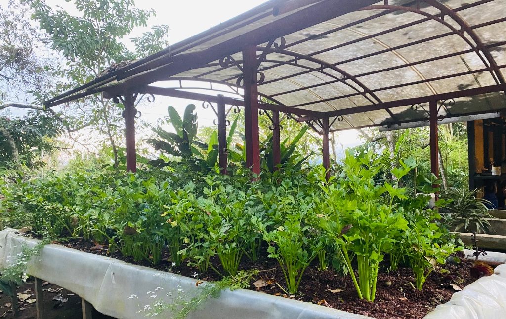 Hydroponic growing beds