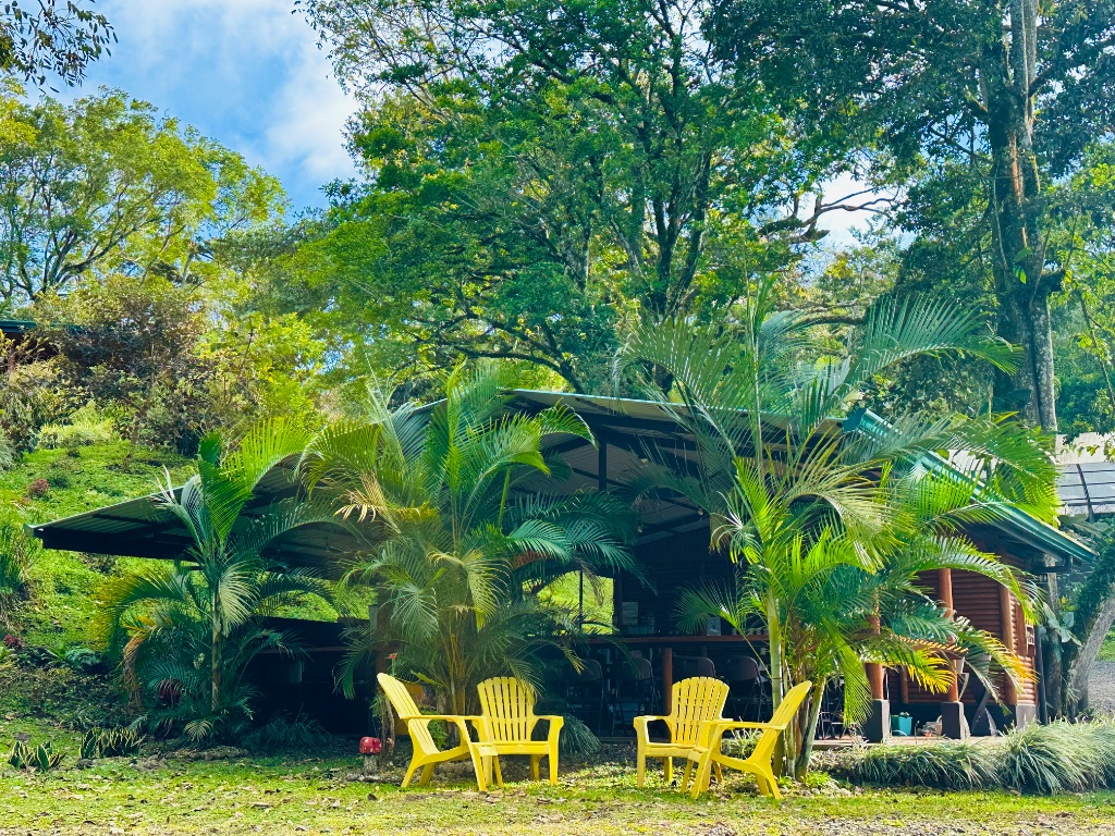 Retreats by KOI