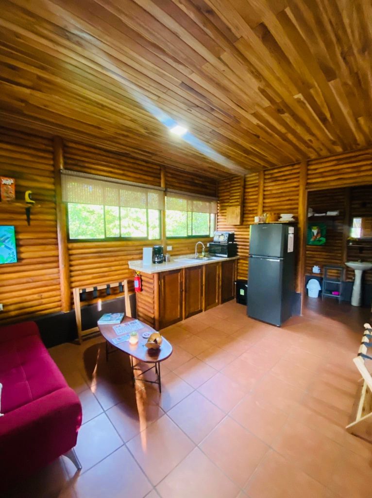 Open interior with kitchenette and log walls