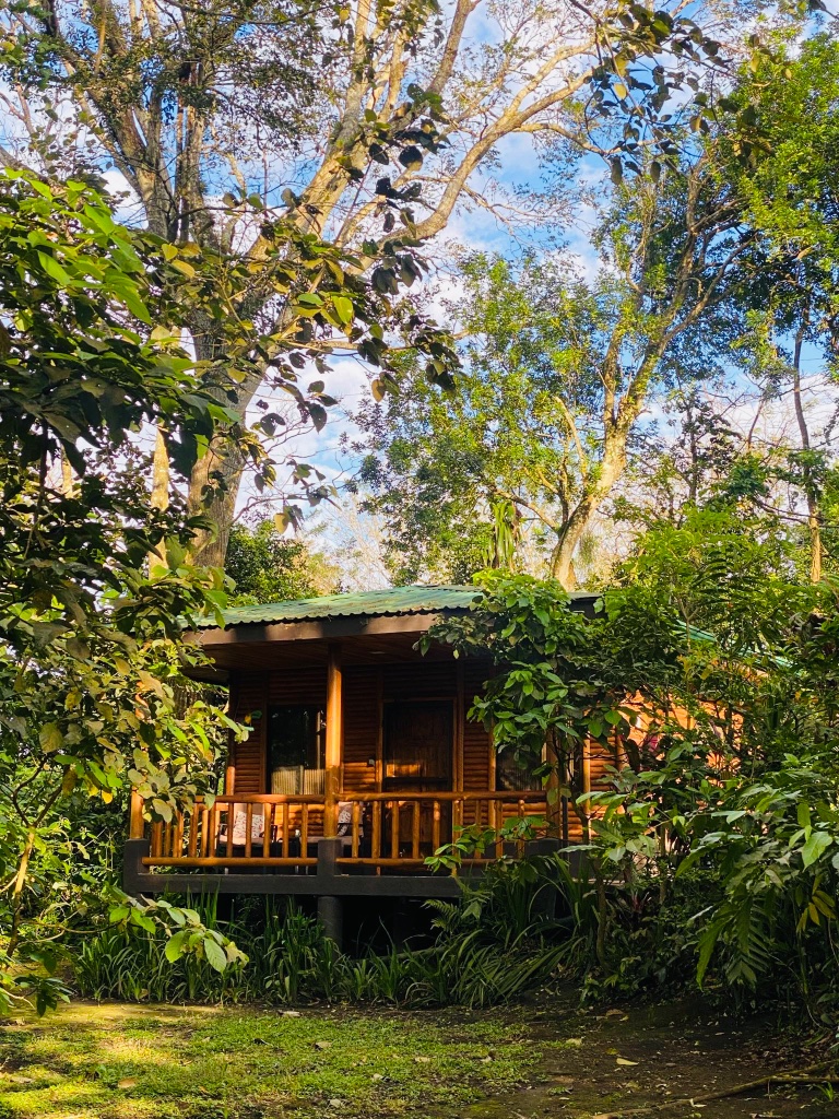 A cabin nestled in the cloud forest