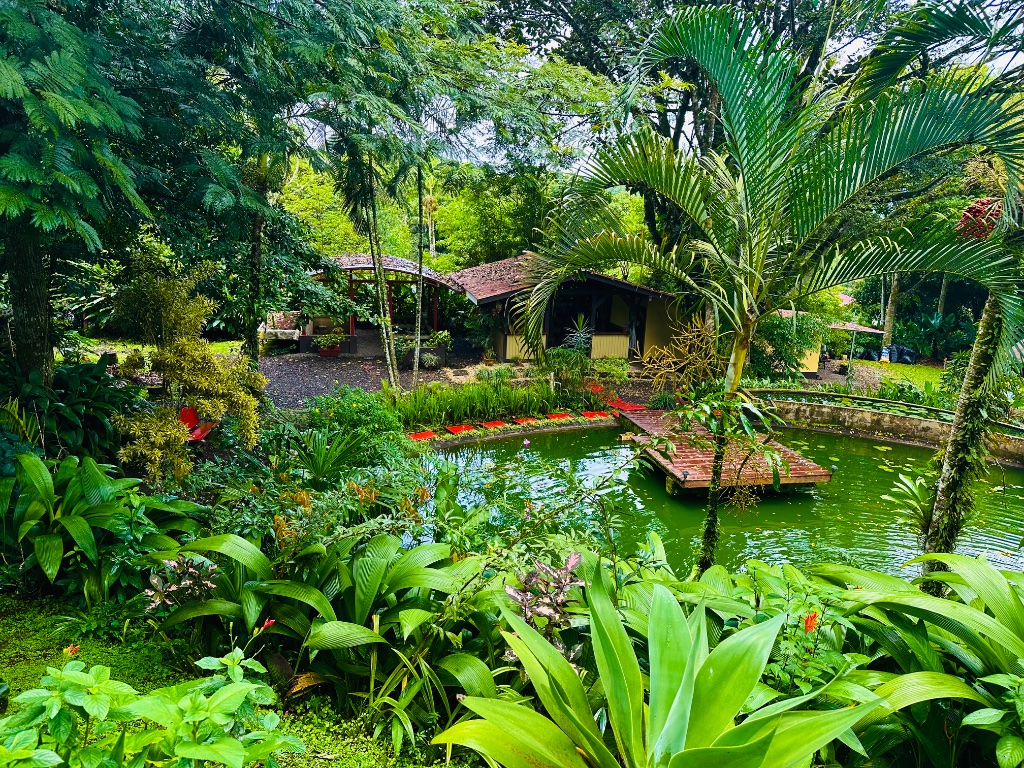 Tropical garden setting