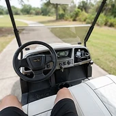 Dash