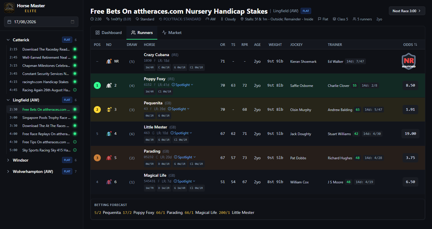 Horse racing runners table with form, official ratings, weight, jockey and trainer