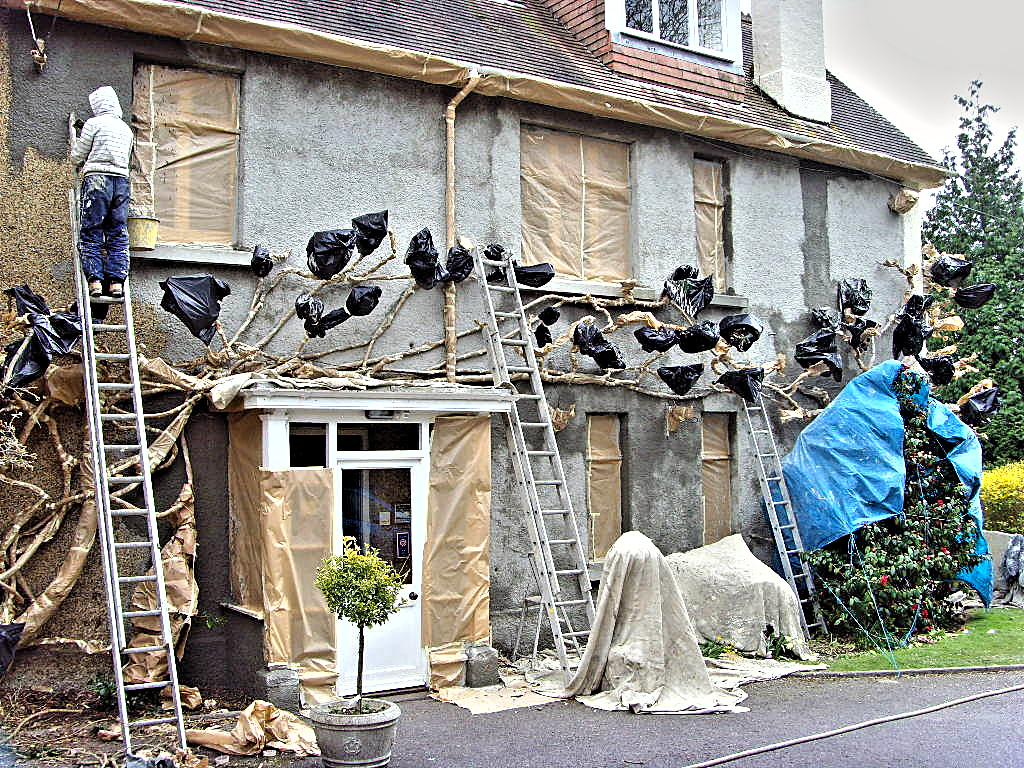 Rear Extension During