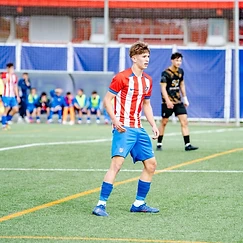 Retrato en partido